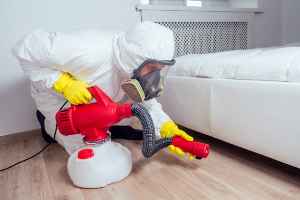 Real Estate Pest Inspections in Harlem, FL